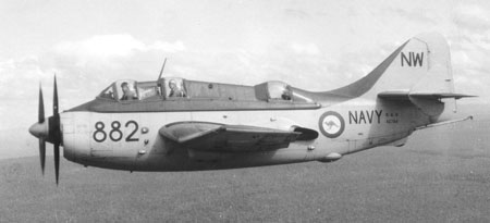 Gannet Gannet