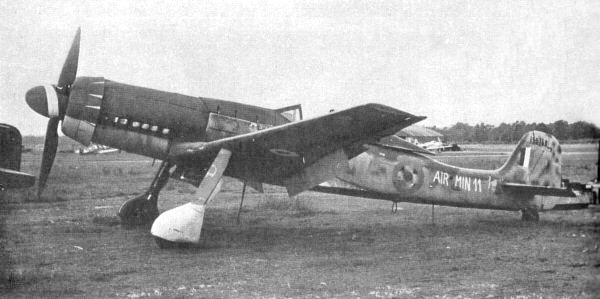 ta152h ta152h